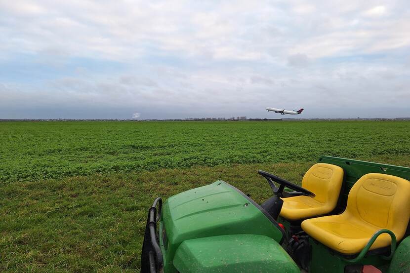 Proefveld met gewas Huttentut nabij Schiphol